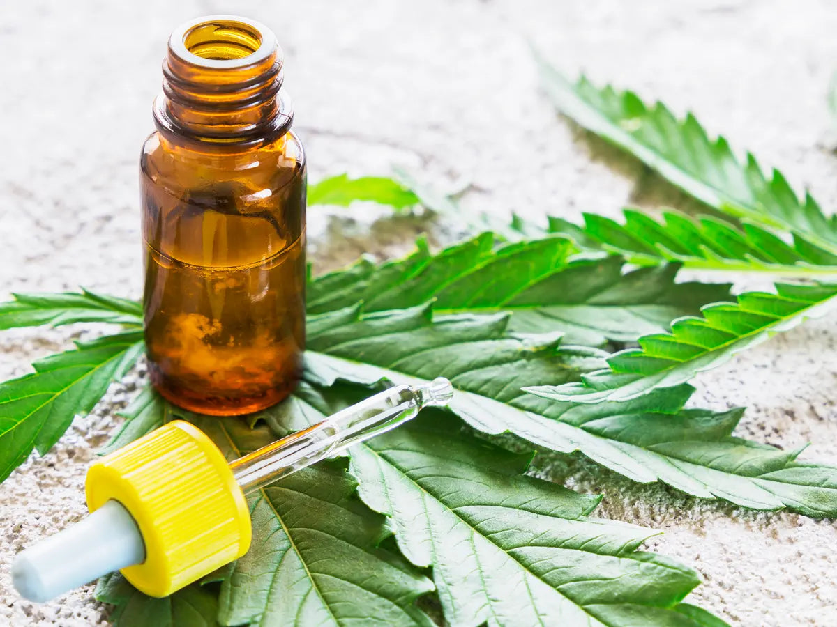 Have You Heard About Cannabis Oil?
