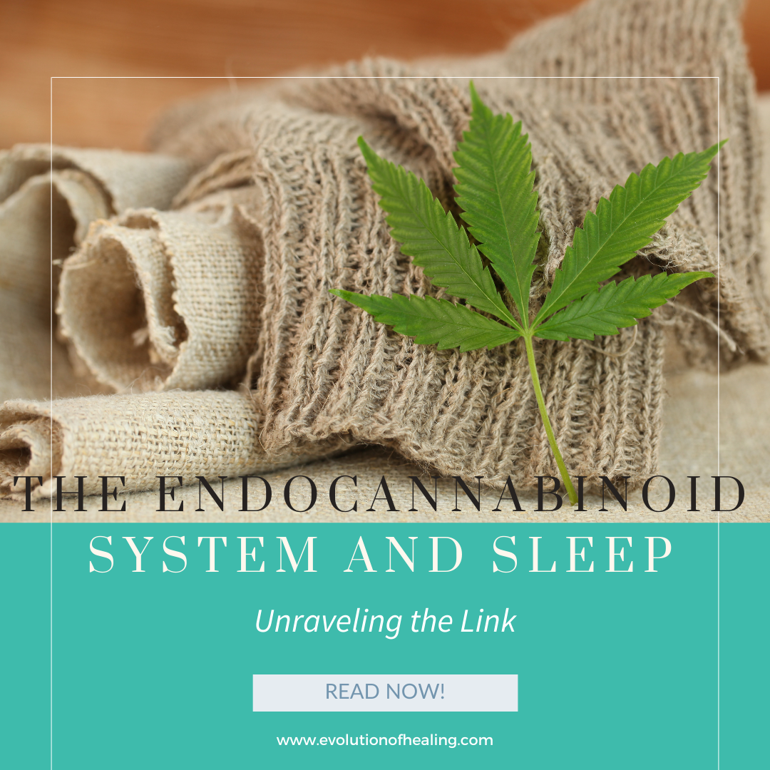 The Endocannabinoid System and Sleep: Unraveling the Link