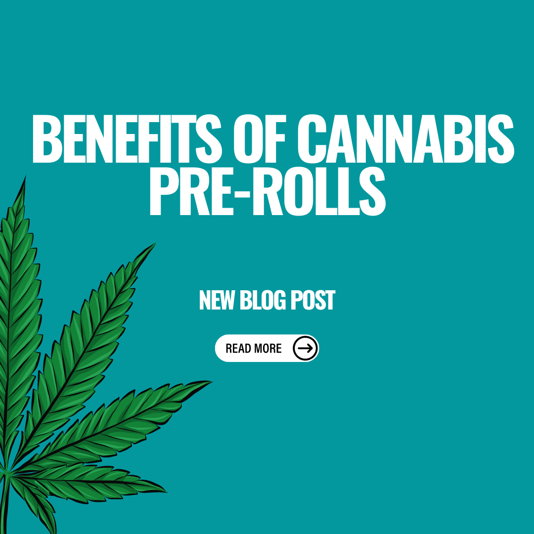 The Blissful Journey to a Good Night's Sleep: Unveiling the Benefits of Cannabis Pre-Rolls